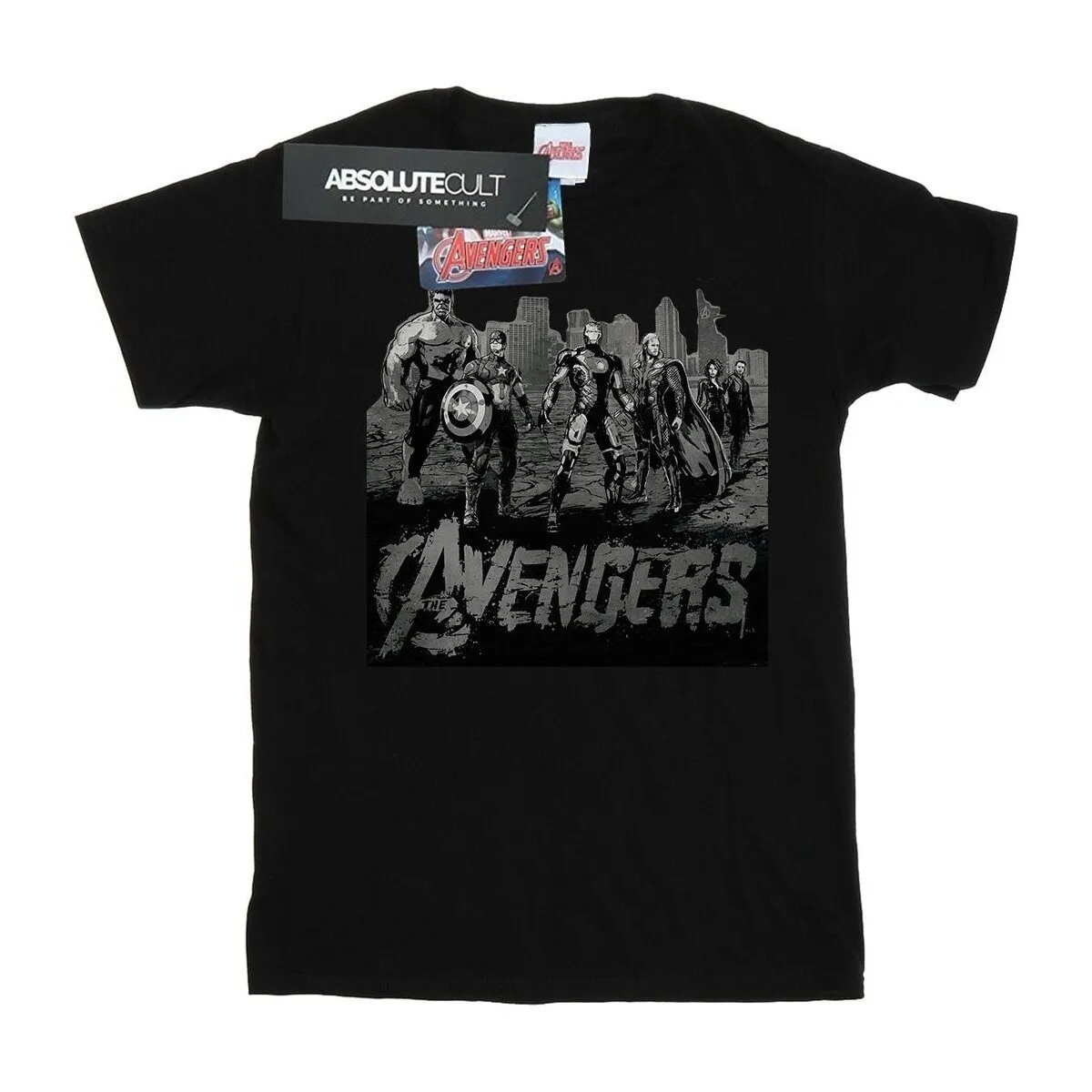 Avengers Mono Team Art