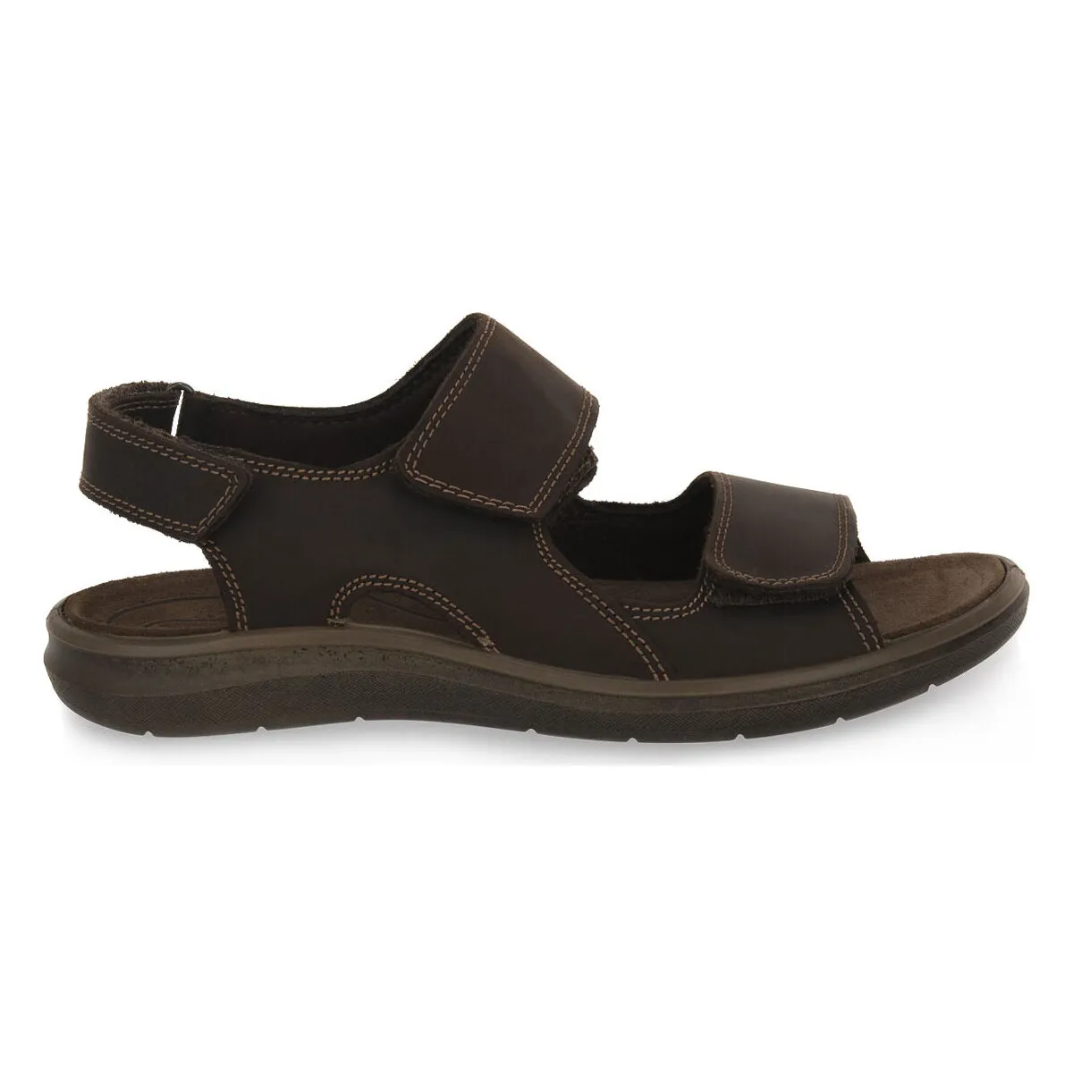 PACIFIC MARRONE