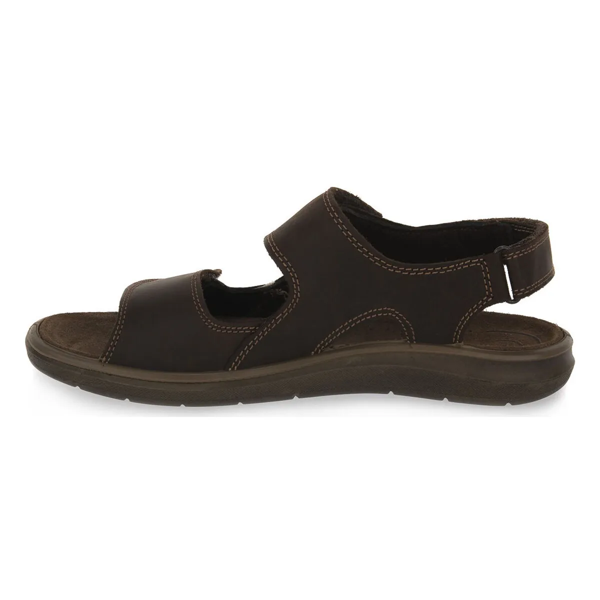 PACIFIC MARRONE
